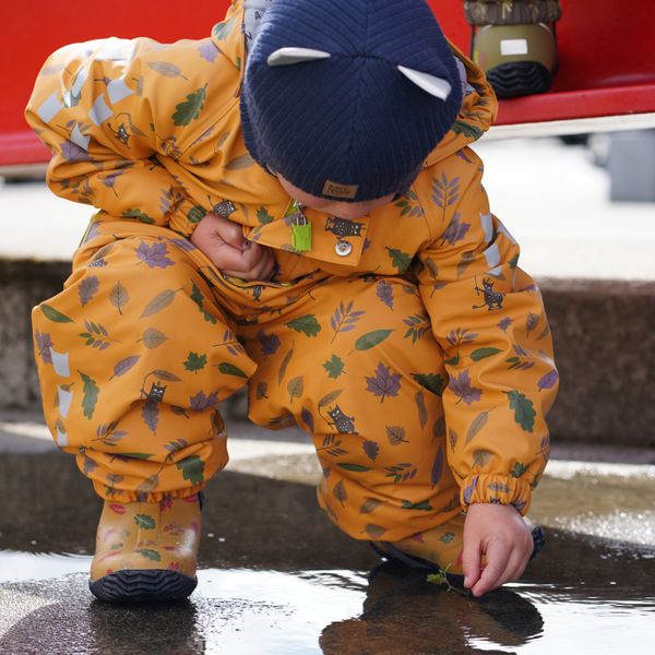 Kattnakken , Vinterregndress slaps honning