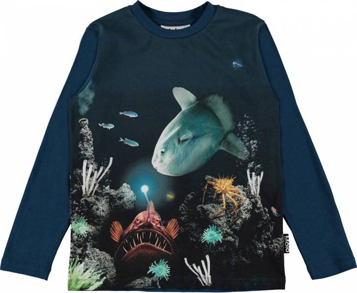 Molo, Reif fishy business genser