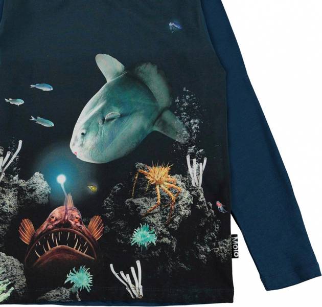 Molo, Reif fishy business genser