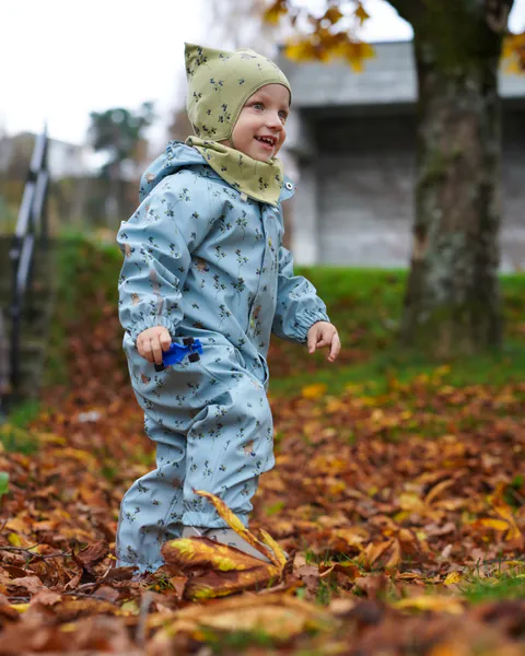 Kattnakken , Babyregndress dugg bris