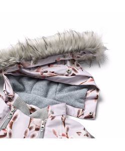 Hovedbilde Molo, Hopla fur willow kitten